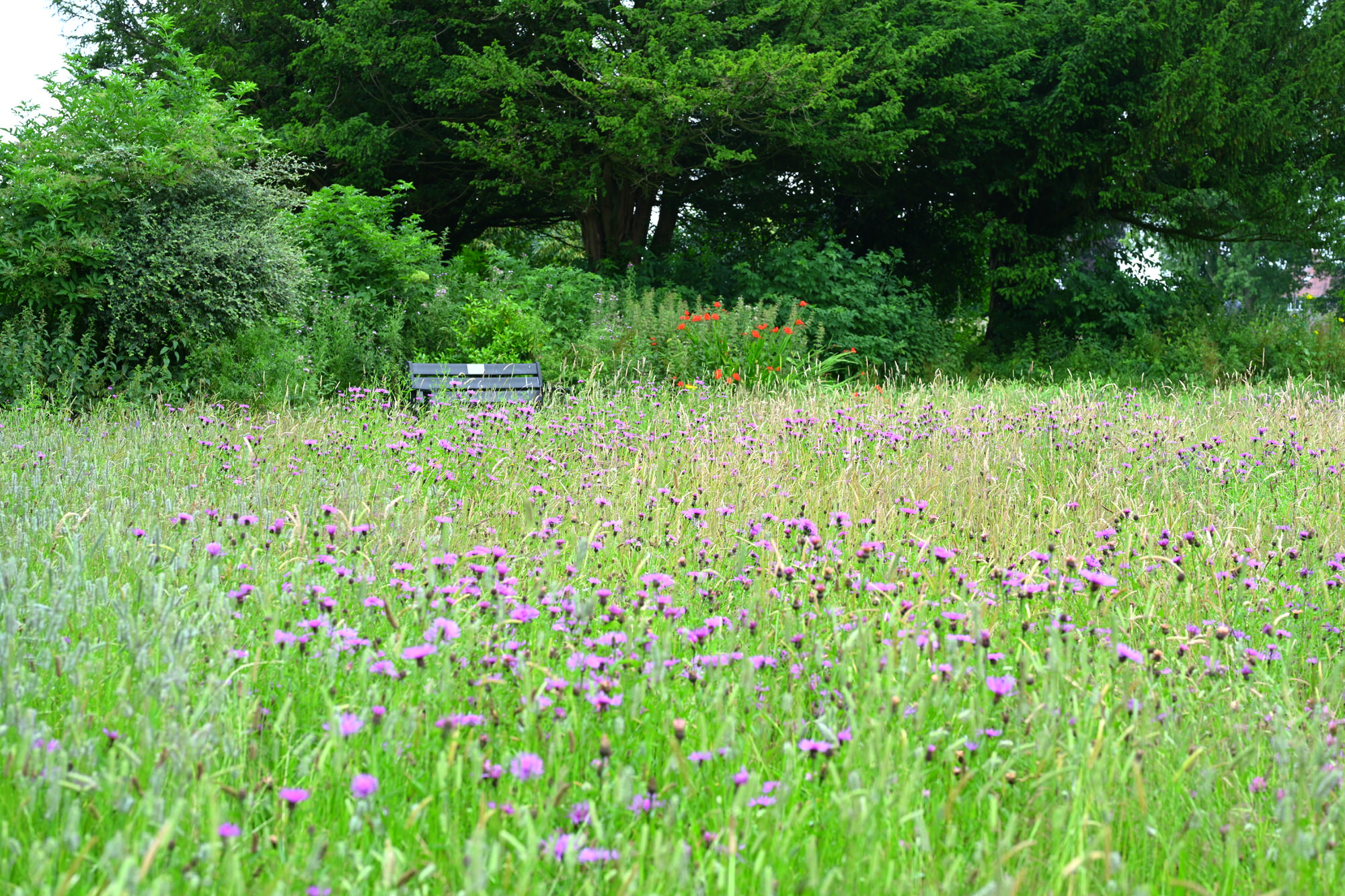 Lancaster - Ryelands Park