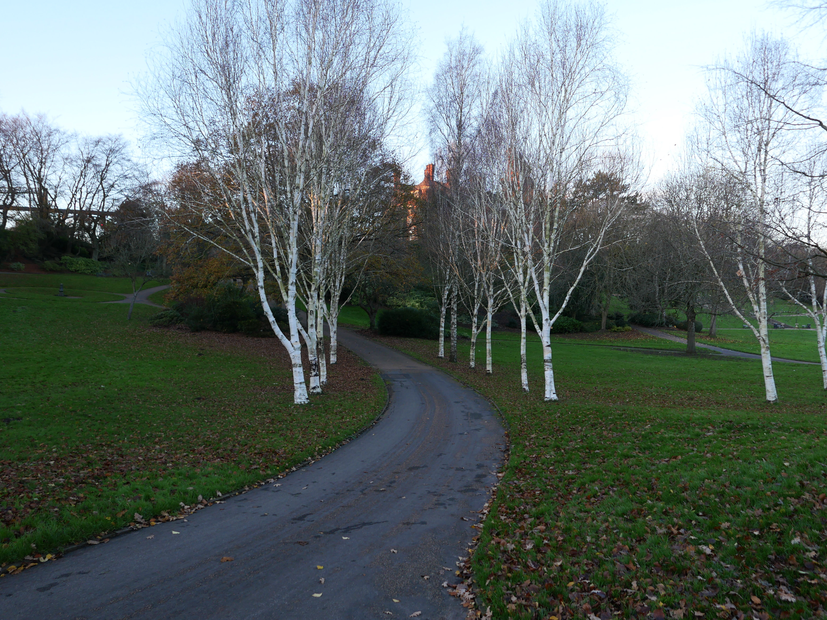 Miller Park, Preston